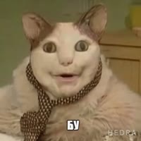 512x512