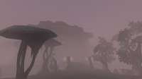 2560x1440