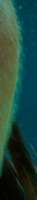 120x647