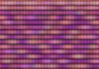1216x853