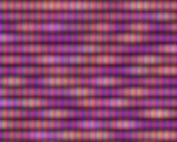 978x789