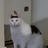 576x576