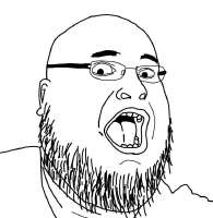736x754