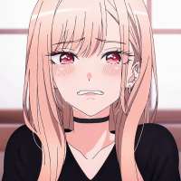 736x736
