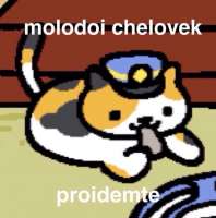 54