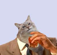 113