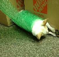 2381