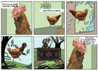 447