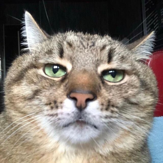640x640