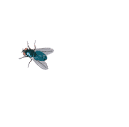252x249