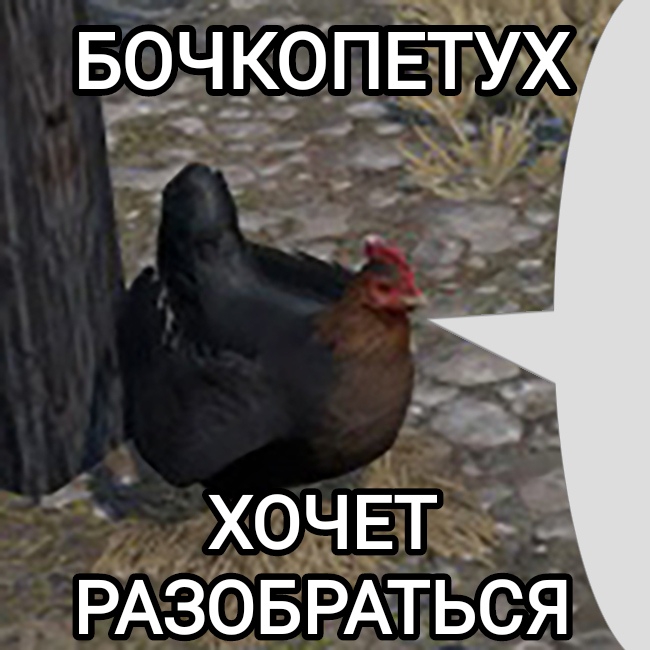 650x650
