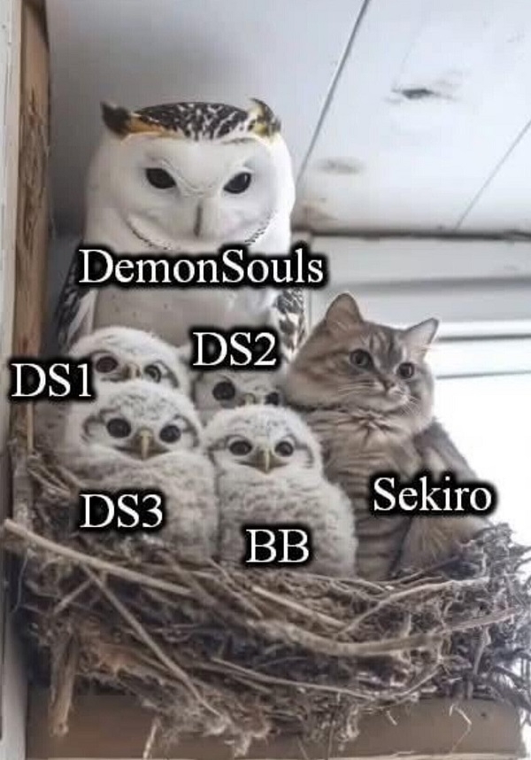 600x858