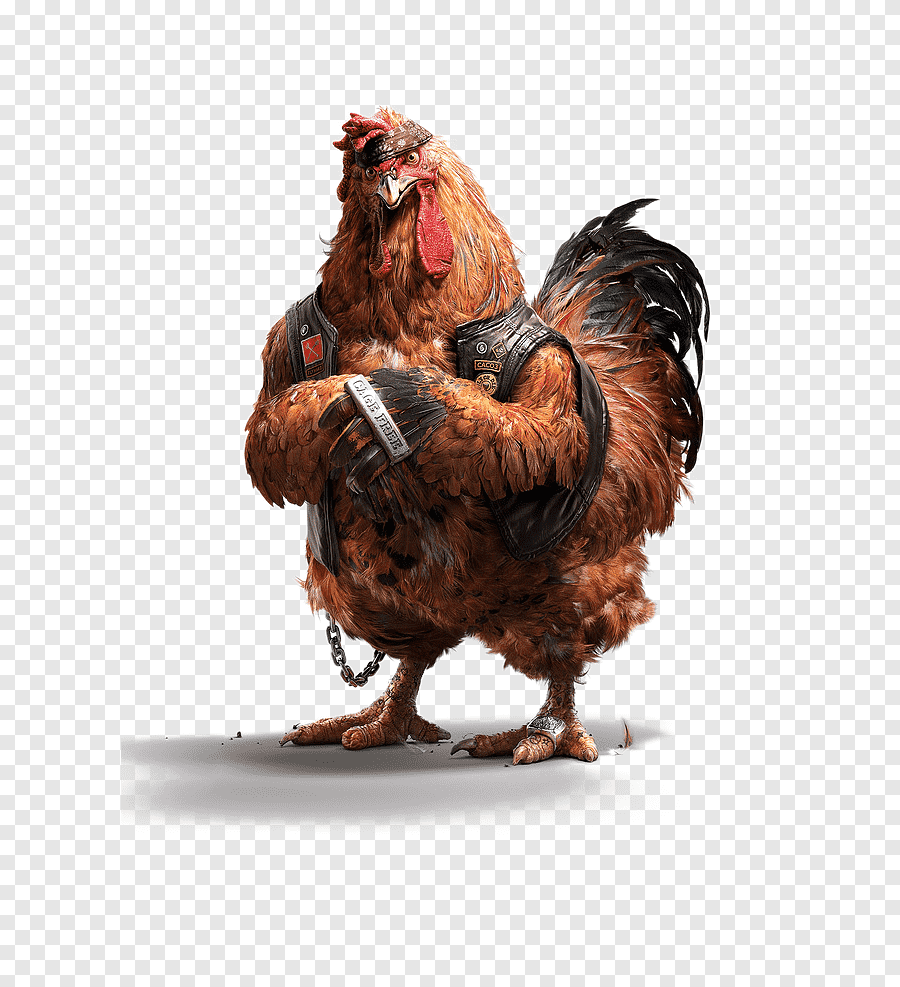 900x987