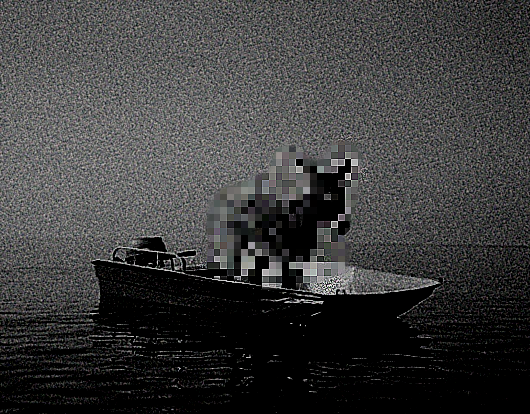 530x414
