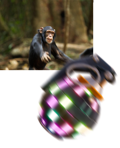 421x519