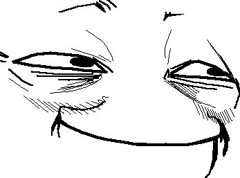 347x257
