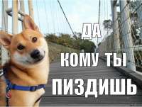 400x302