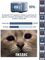 497x661
