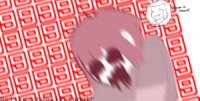 500x253