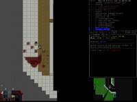 1152x864