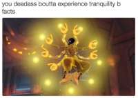 942x669