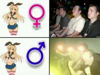 600x455
