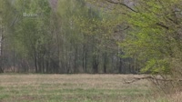 800x450