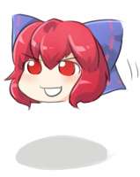 456x571