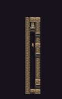 485x771