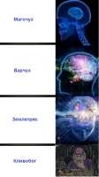 496x880