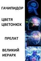 647x960