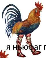 309x387