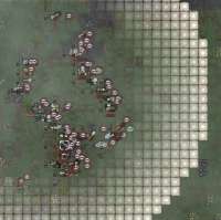 808x807