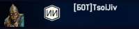 320x68