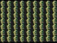 480x360