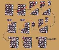 564x480