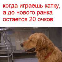 300x300