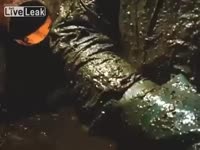 480x360