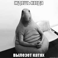 600x600
