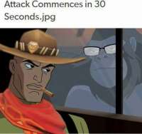480x452