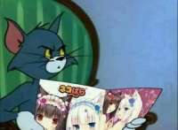 572x421