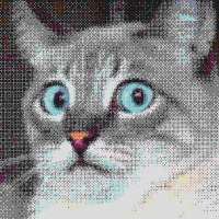 296x296