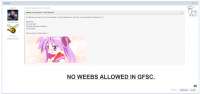 1668x789
