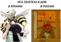 1280x886