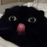 368x368