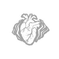 256x256