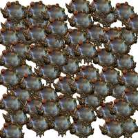 390x390