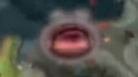 640x360