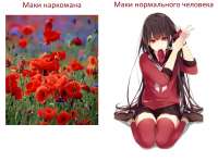 942x699