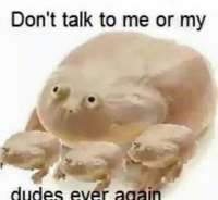 433x399